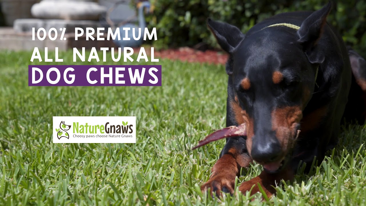 Nature Gnaws Beef Jerky Chews Available on Chewy