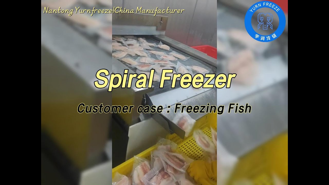 Efficient Fish Fillet Freezing: Spiral Freezer in Action