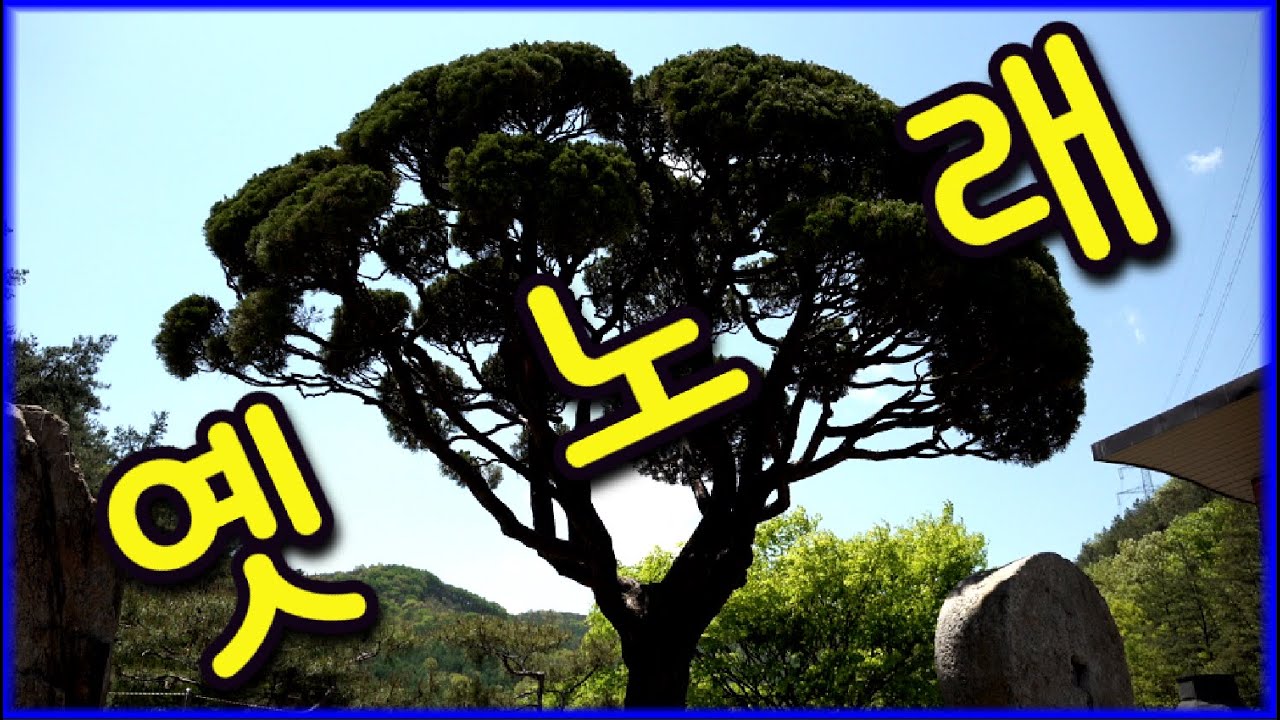 오리지날 옛노래 ❤️이곳저곳드론배경영상❤️ #경음악 #관광 #디스코 #뽕짝 #가요 #트로트 #쌍쌍가요 (39)