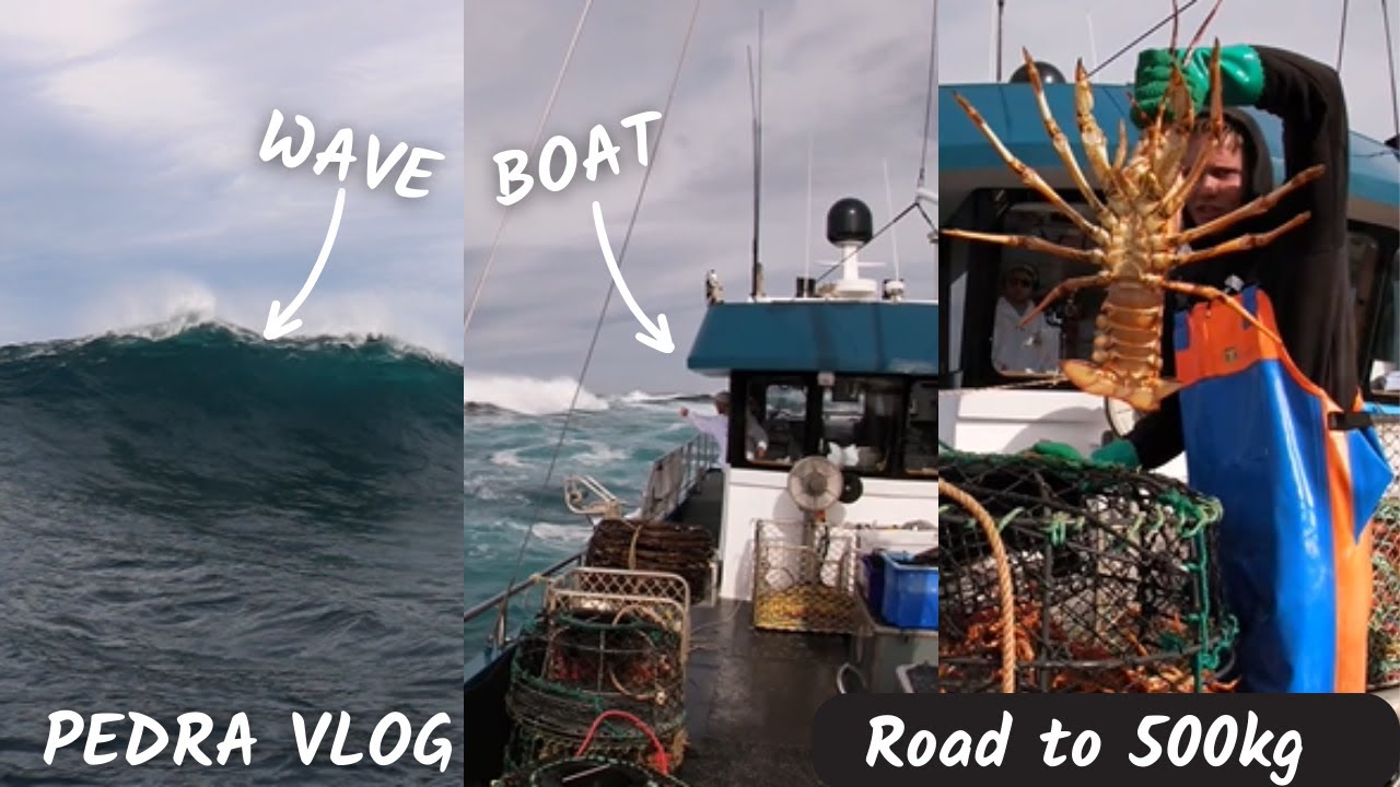 Big waves!!! Large lobster!! and crew injuries-- Lobster fishing vlog day 2