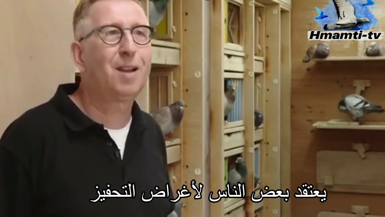 ثثمة الجزء الثاني من ترجمة فيديوا (جيرارد كوبمان) حول مسيرته مع الحمام الماراثون