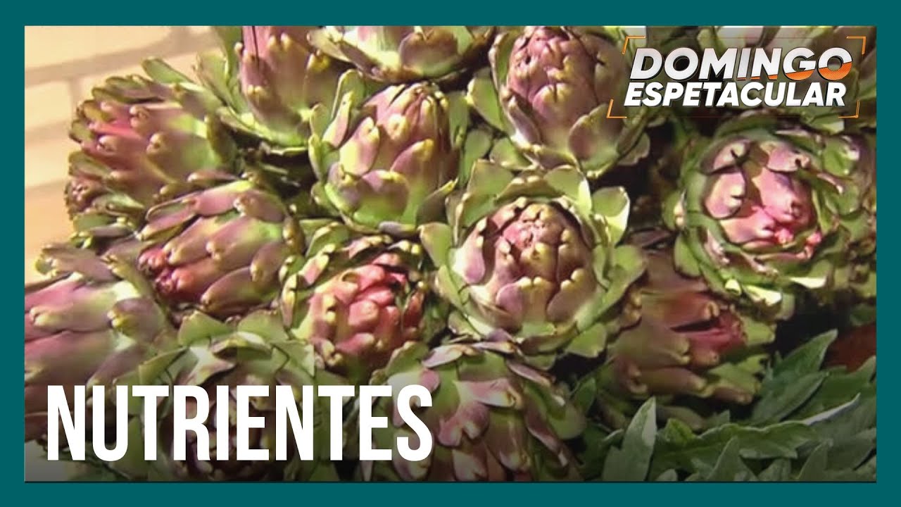 Mitos e verdades: alcachofra pode ser uma aliada em dietas?