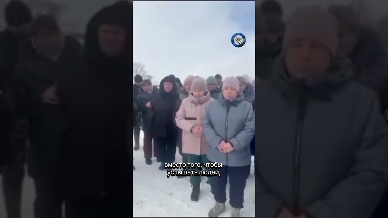 #новости #корова #чп #беспредел