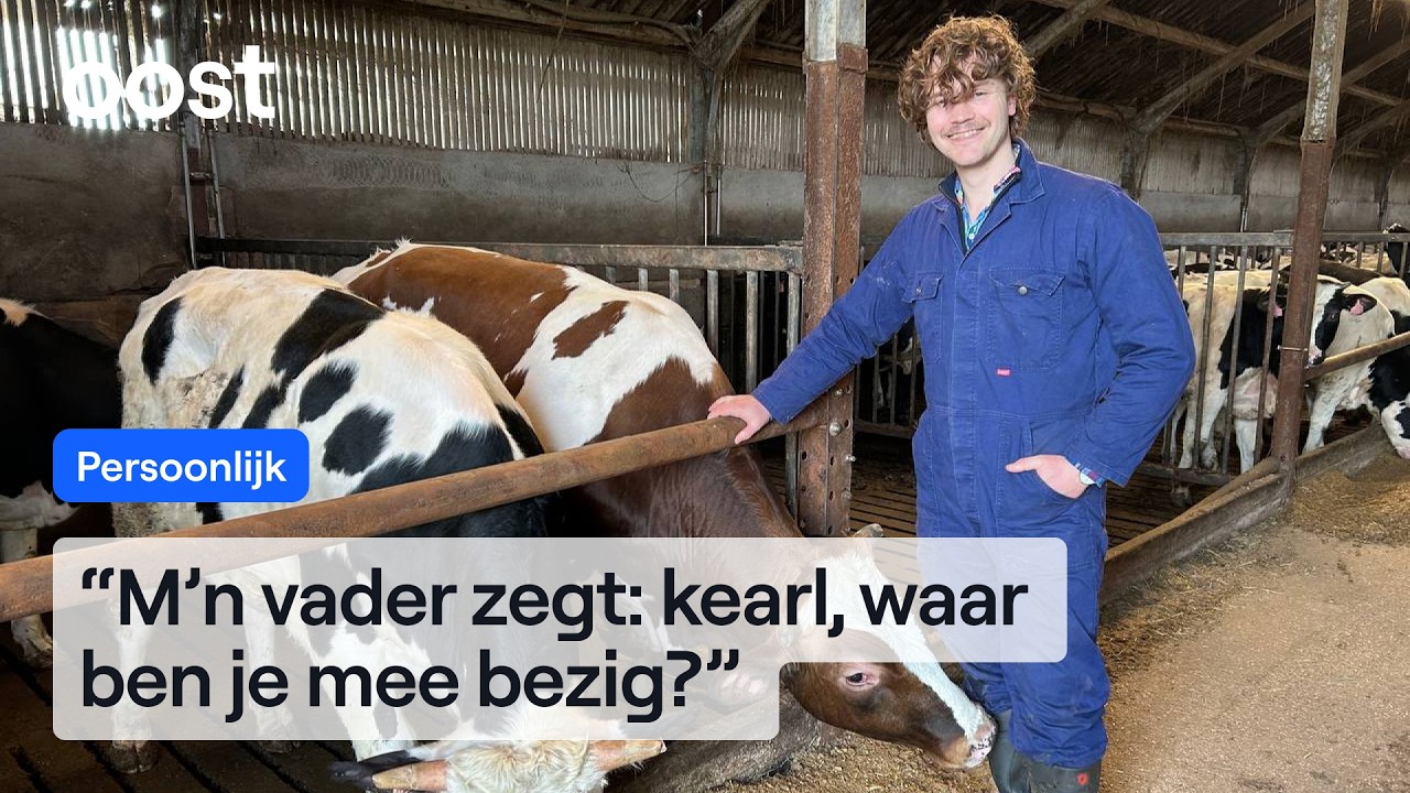 Vegan boer Wouter zoekt plekje voor zijn geredde kalfjes | RTV Oost