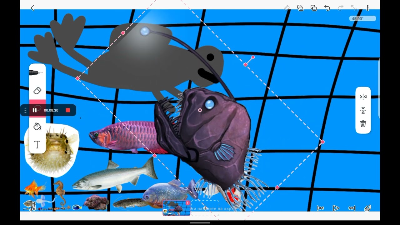 Fish size comparison