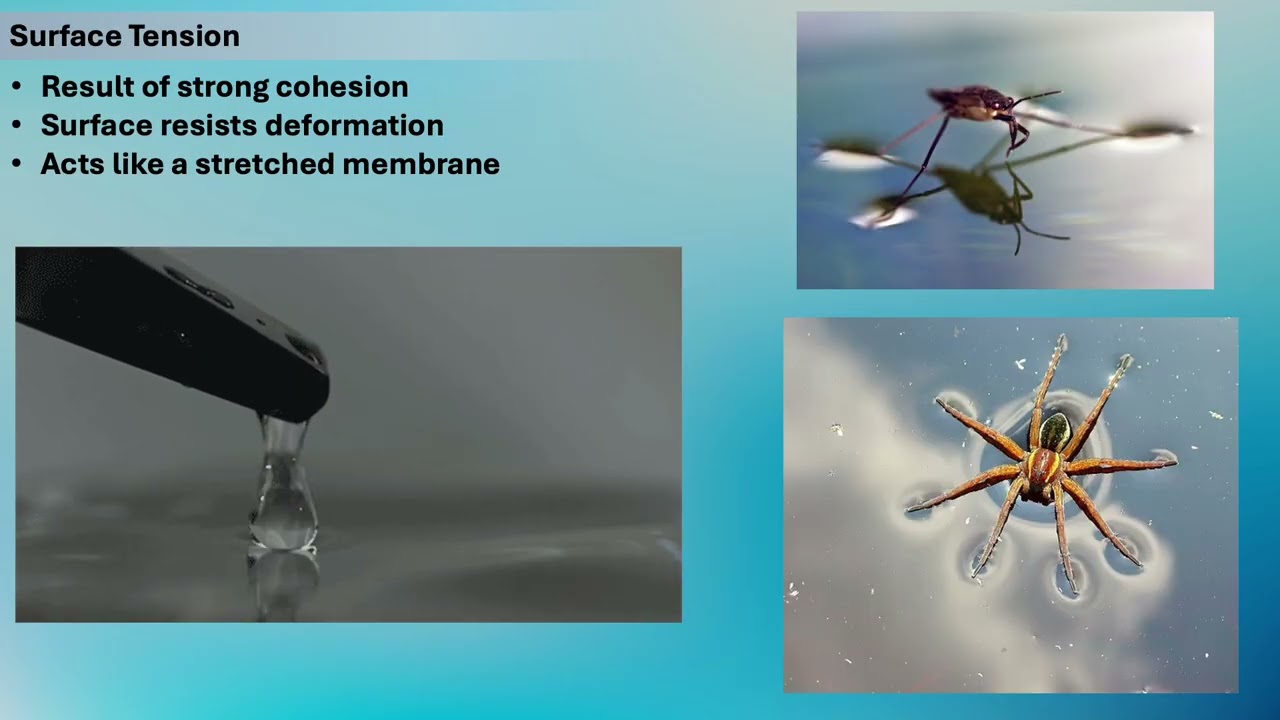Allman-Goshen-College-Oceanography-L10: Water Chemistry