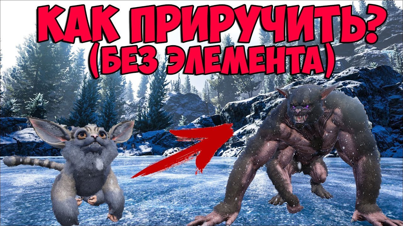 Ферокс (Ferox) В ARK: Genesis ➤ ПРОСТЕЙШЕЕ ПРИРУЧЕНИЕ БЕЗ ЭЛЕМЕНТА! (БАГ/ФИЧА)