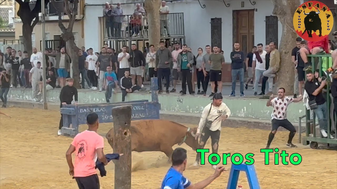 Tarde de los Chatos, Betera 19 mayo 2023 HD 1080p