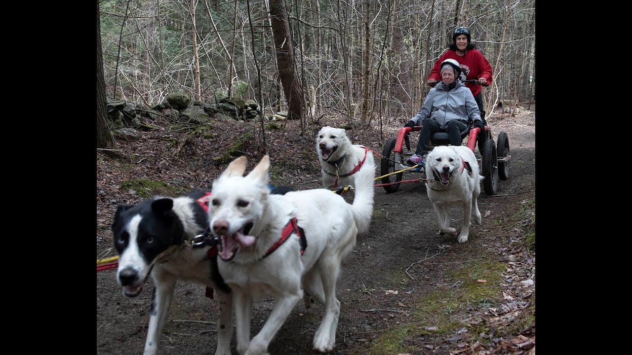 Hilltowns Highlights