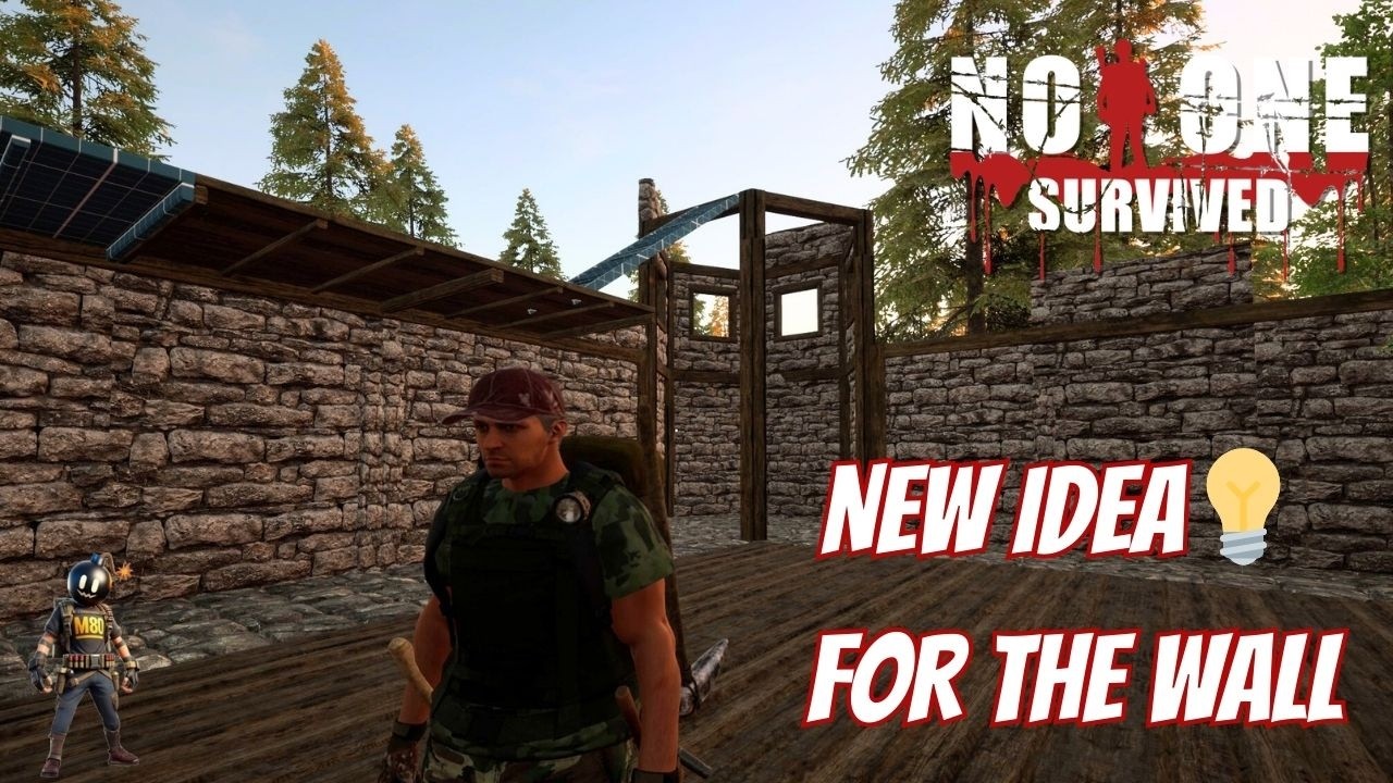 I HAVE A NEW IDEA FOR THE WALL!