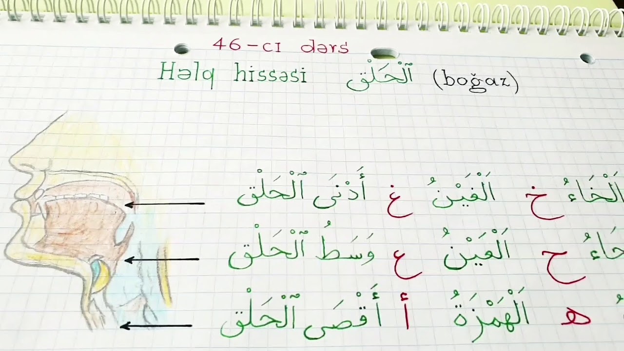 Hacı Fəxrəddin Quran dərsləri 46-ci dərs ( Hərflərin məxrəcləri.Həlq hissəsi)