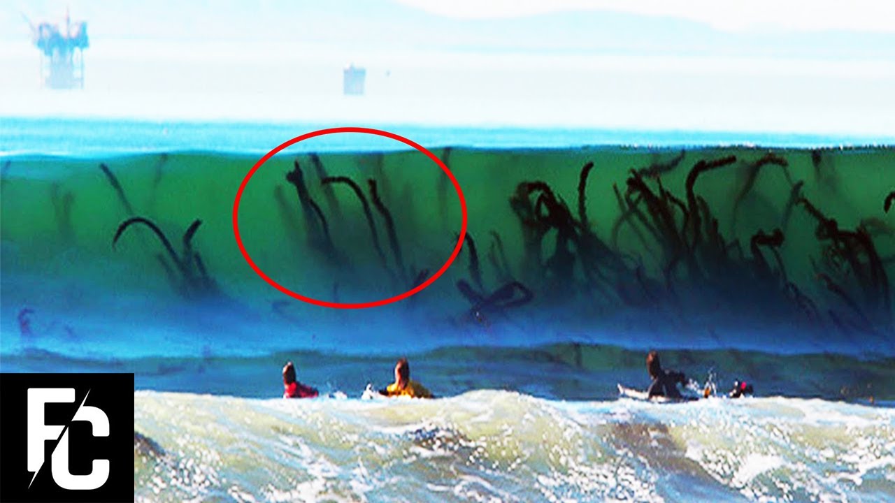 5 Dangerous Beaches You Shouldn't Visit | Fact Central