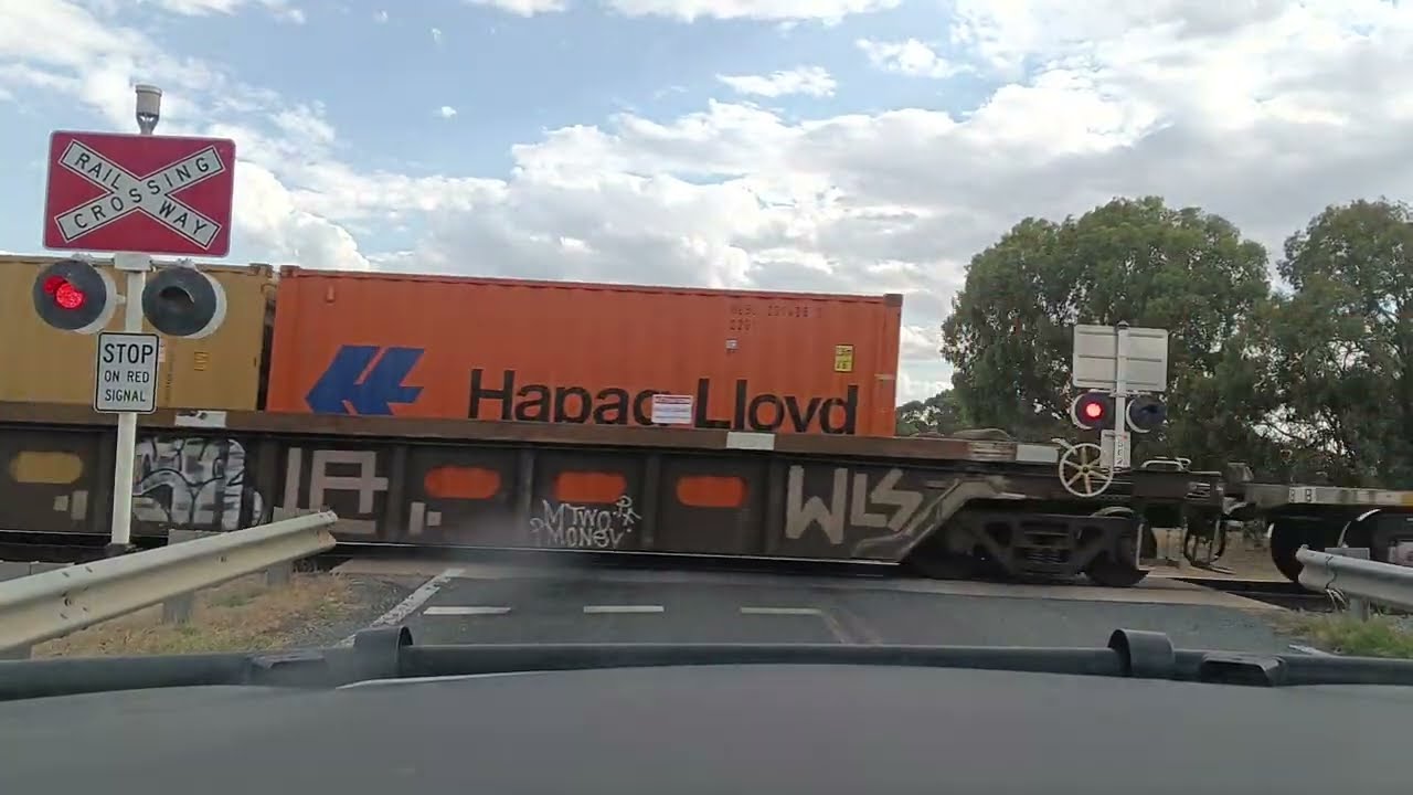 WEDNESDAY AFTERNOON DRIVE IN THE RIVERINA NSW AUSTRALIA 🦘