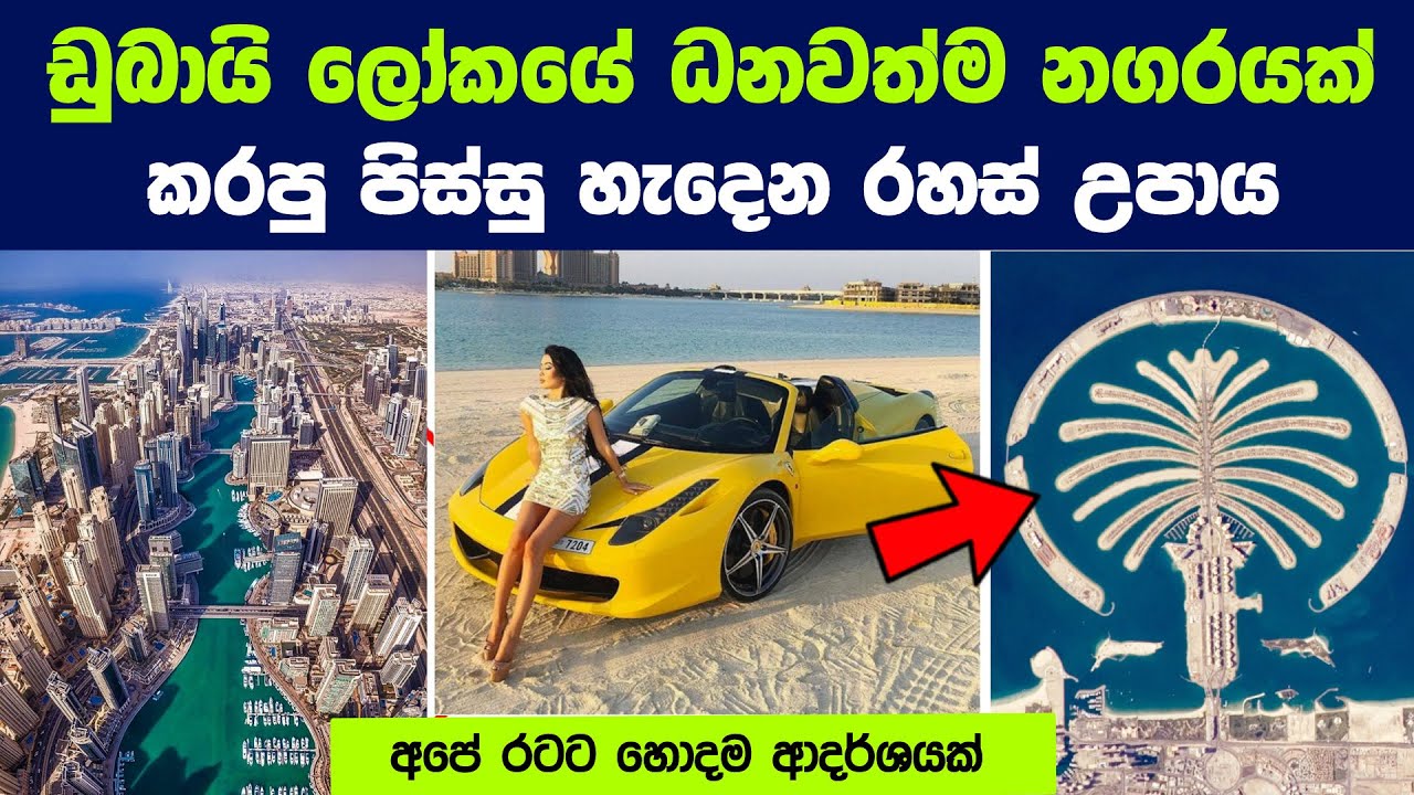 හෙට තෙල් ඉවර වුනත් අවුරුදු 50ක් යනකම් ඩුබායි වැටෙන්නේ නෑ | Dubai's Model of Economic Diversification