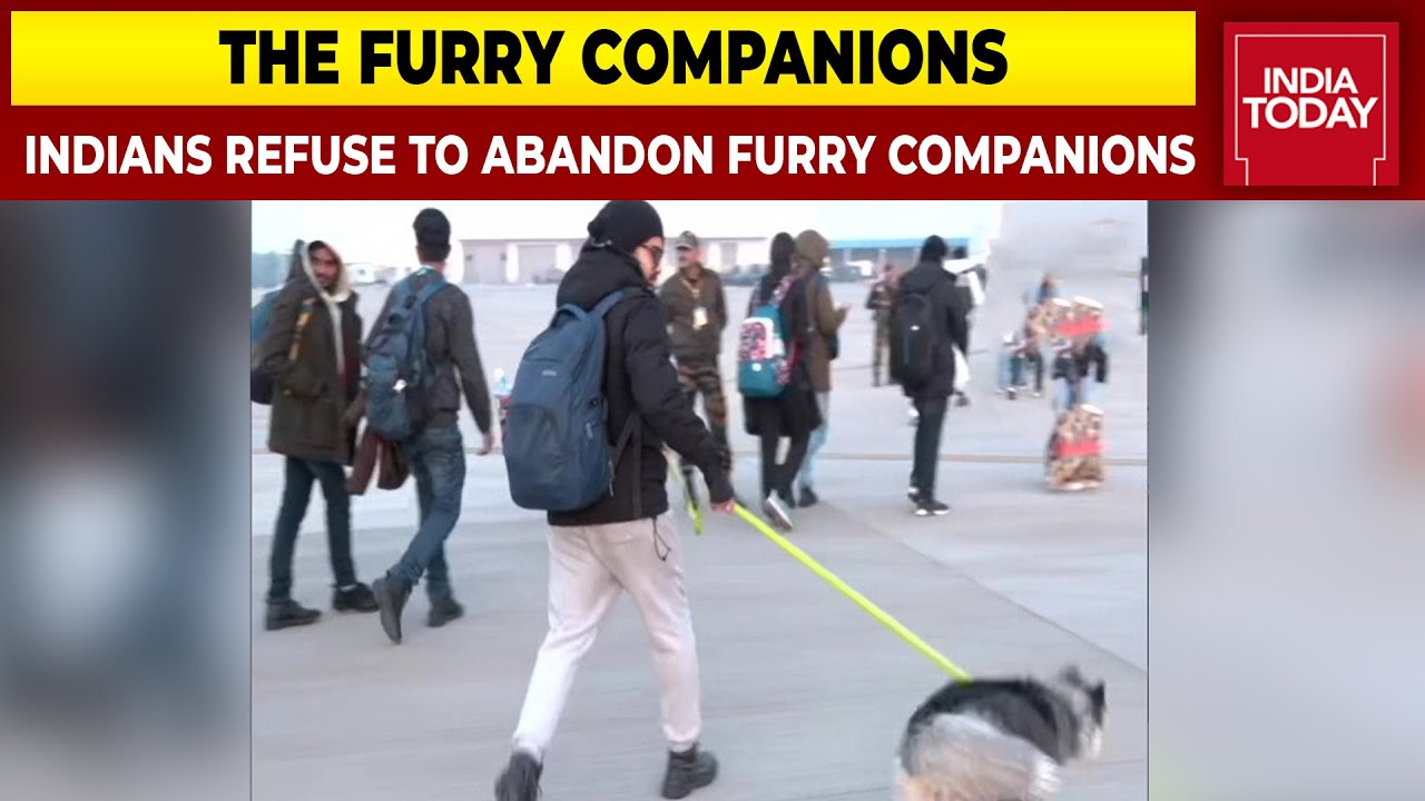 Heart-Warming Evacuation Mission In Ukraine, Indians Refuse To Abandon Furry Companions