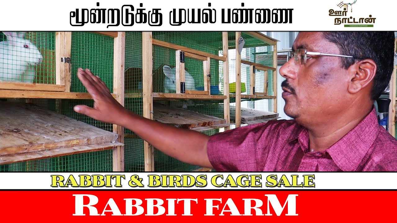 Rabbit Sales | All Type Pets Cage Sales | முயல் பண்ணை உருவாக்கும் முறை  | Oor Naattan