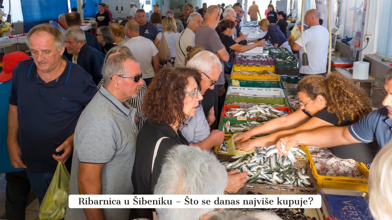 Gužva na RIBARNICI u ŠIBENIKU: Srdela Najtraženija Riba Dana.