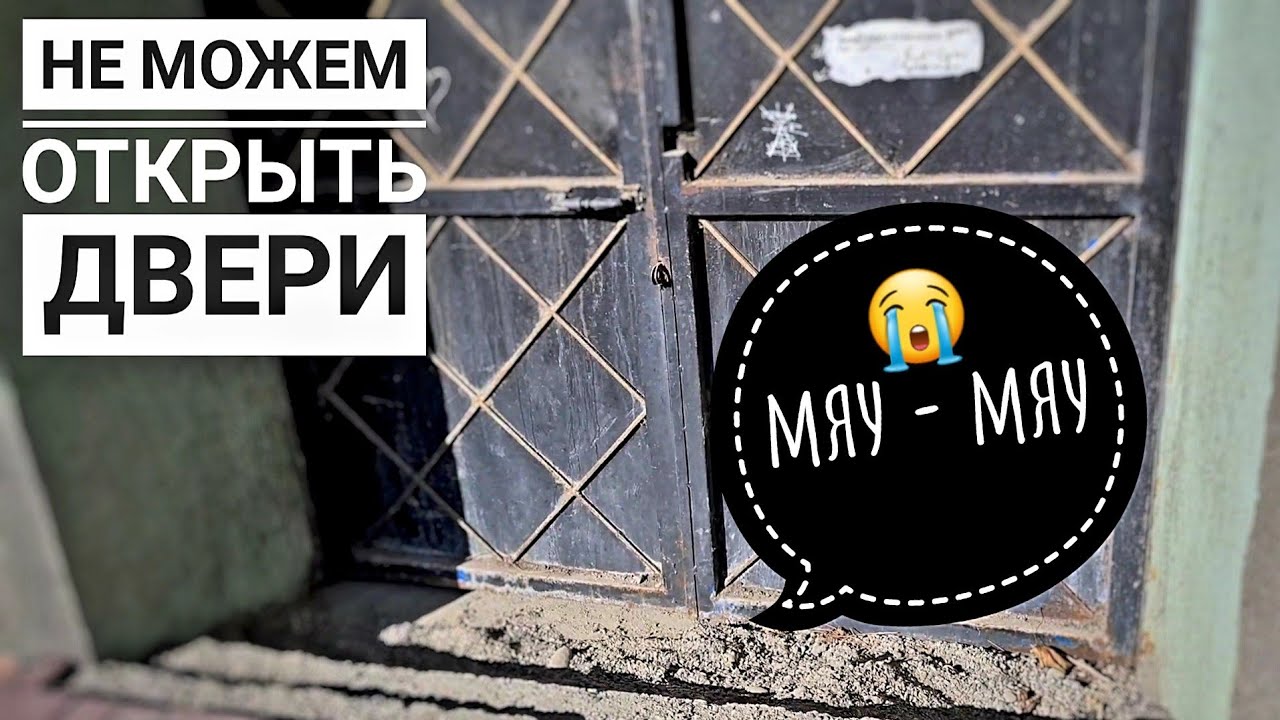 Котенок замурован ЗАЖИВО😱. 1 часть.