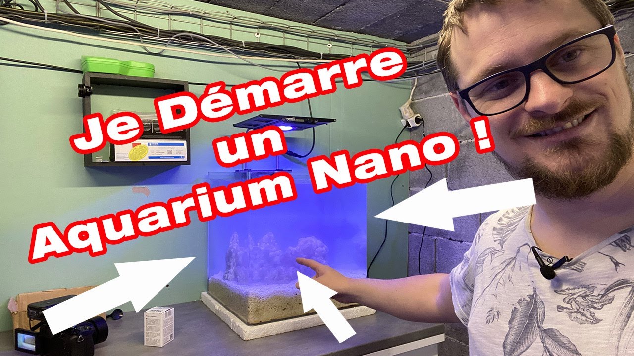 Tu veux avoir un aquarium marin chez toi ?