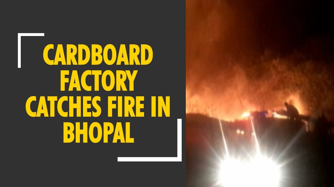 Cardboard factory catches fire in Bhopal, Madhya Pradesh