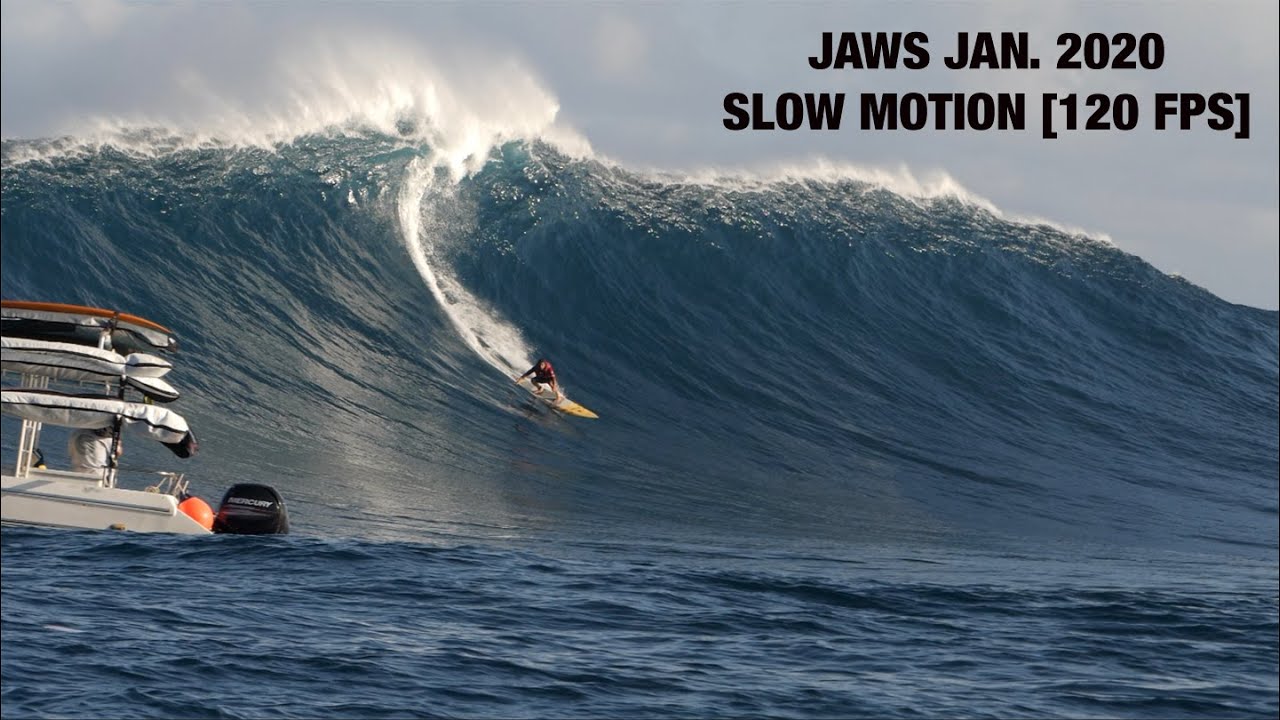 JAWS 2020 Slow - Mo  [120 FPS, 38 MINUTES]  JANUARY 23, 2020