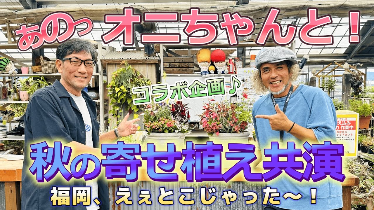 【超必見】【オニちゃんねる】あのオニちゃん（井上店長）と初コラボ！無謀にもオニちゃん舞台で寄せ植え作らせてもらいました！　＃66