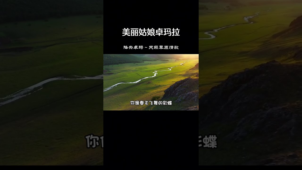 降央卓玛一首草原情歌《美丽的姑娘卓玛拉》悠扬动听，让人陶醉 #音乐 #经典歌曲精选 #草原