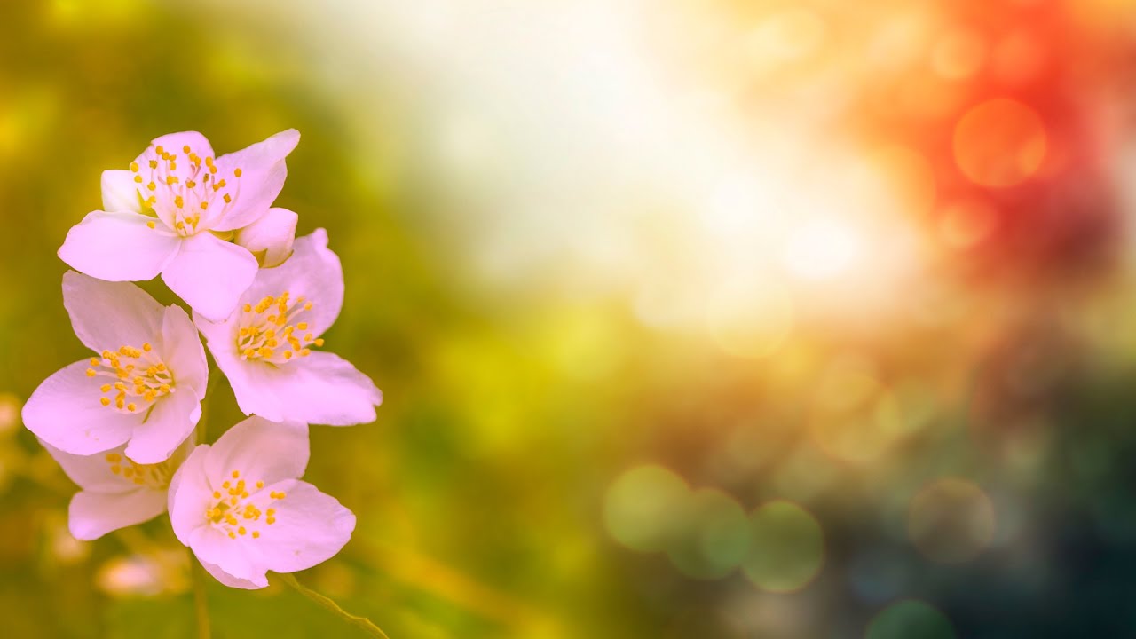 Beautiful Relaxing Peacefull Meditation Music 