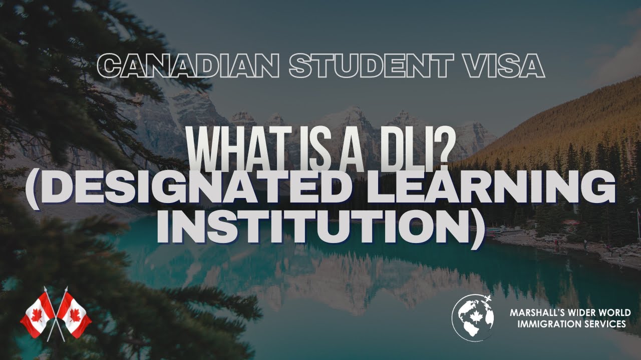 What is a Designated Learning Institution (DLI)?