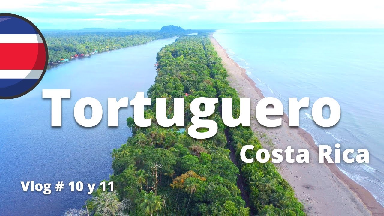 NO vengas a TORTUGUERO sin SABER esto ANTES | COSTA RICA 4K