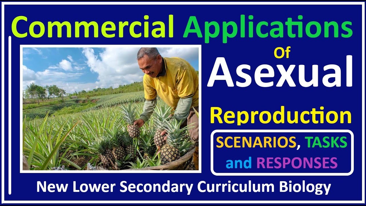 Asexual Reproduction  Plants-6-Commercial Applications of Asexual Reproduction in Plants