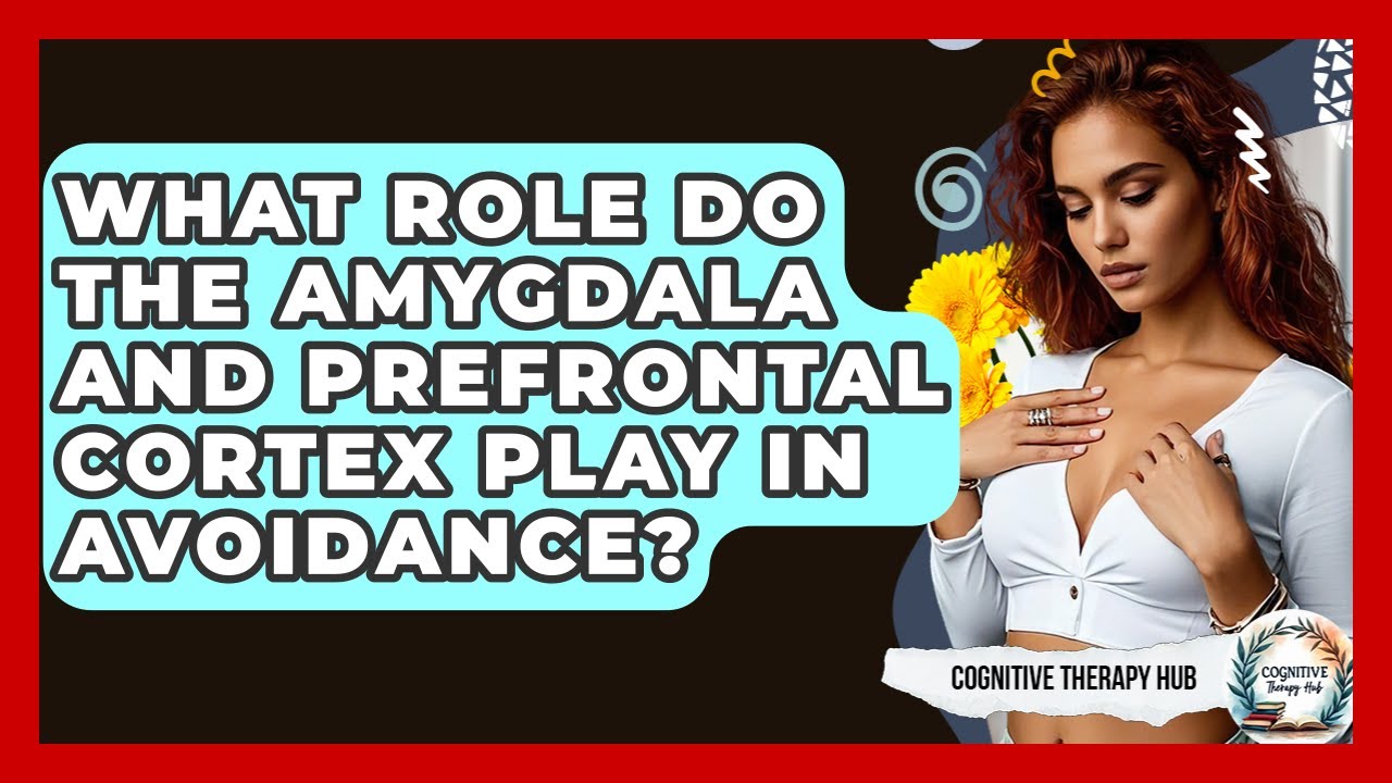 What Role Do The Amygdala And Prefrontal Cortex Play In Avoidance? - Cognitive Therapy Hub