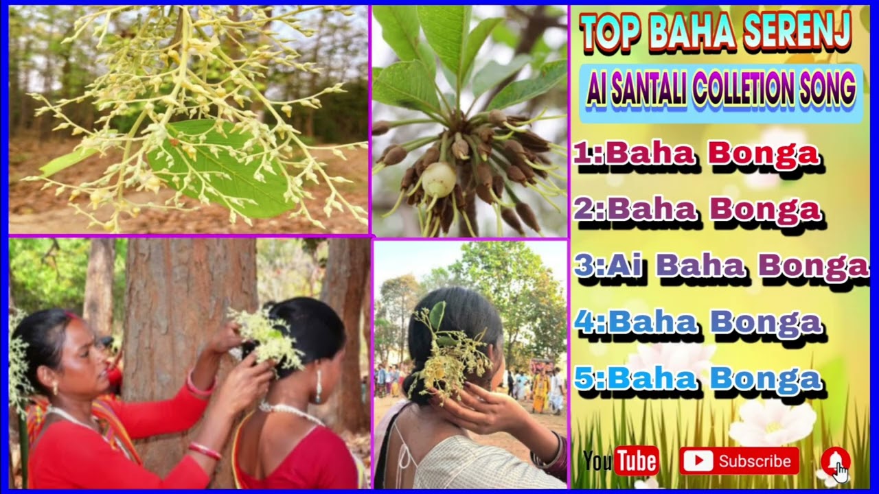 Ai Santali Colletion Baha Song || New Santali Song 2026