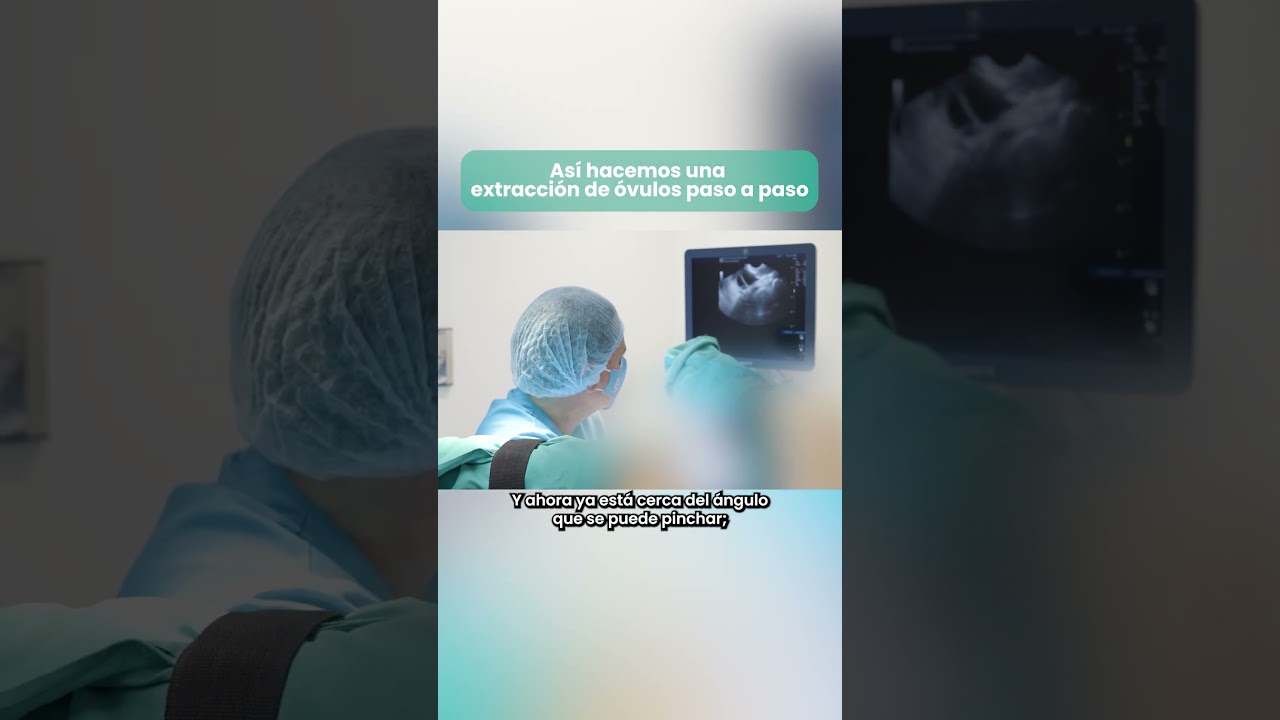 As&iacute; hacemos una extracci&oacute;n de &oacute;vulos paso a paso | Equipo Gos&aacute;lvez
