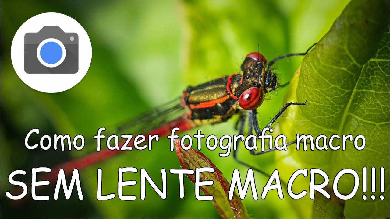 Fotografia macro sem lente macro 😳!!! [GCAM][GOOGLE CAMERA]