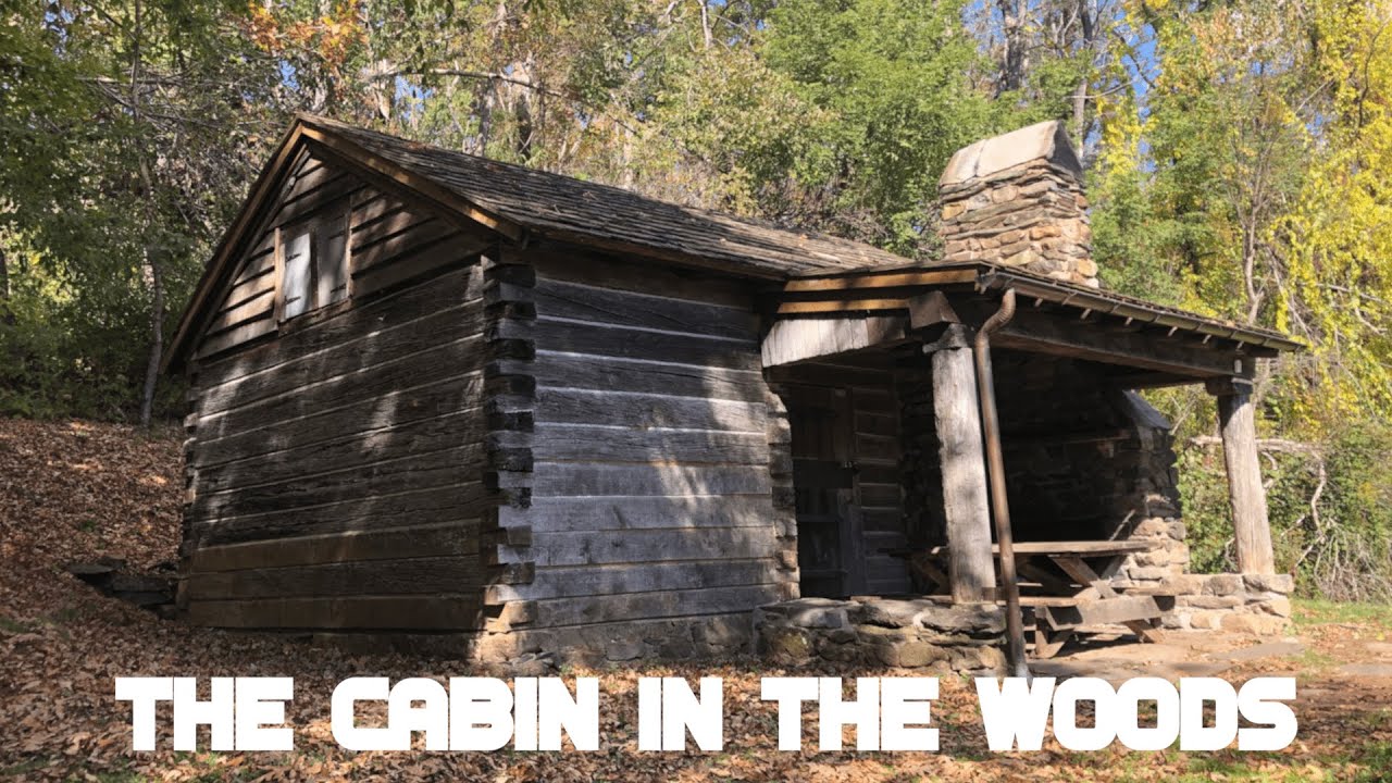The Cabin in the Woods