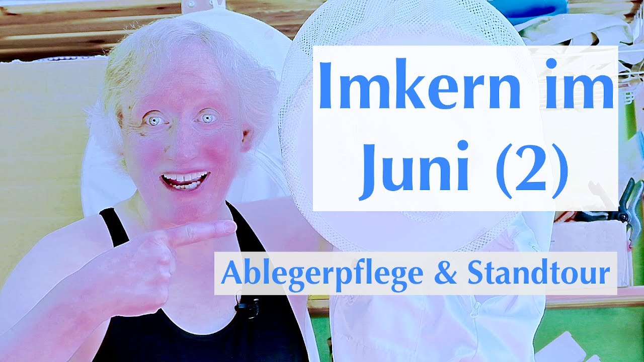 Imkern im Juni (Teil 2) - Sprühbehandlung vom Sammelbrutableger