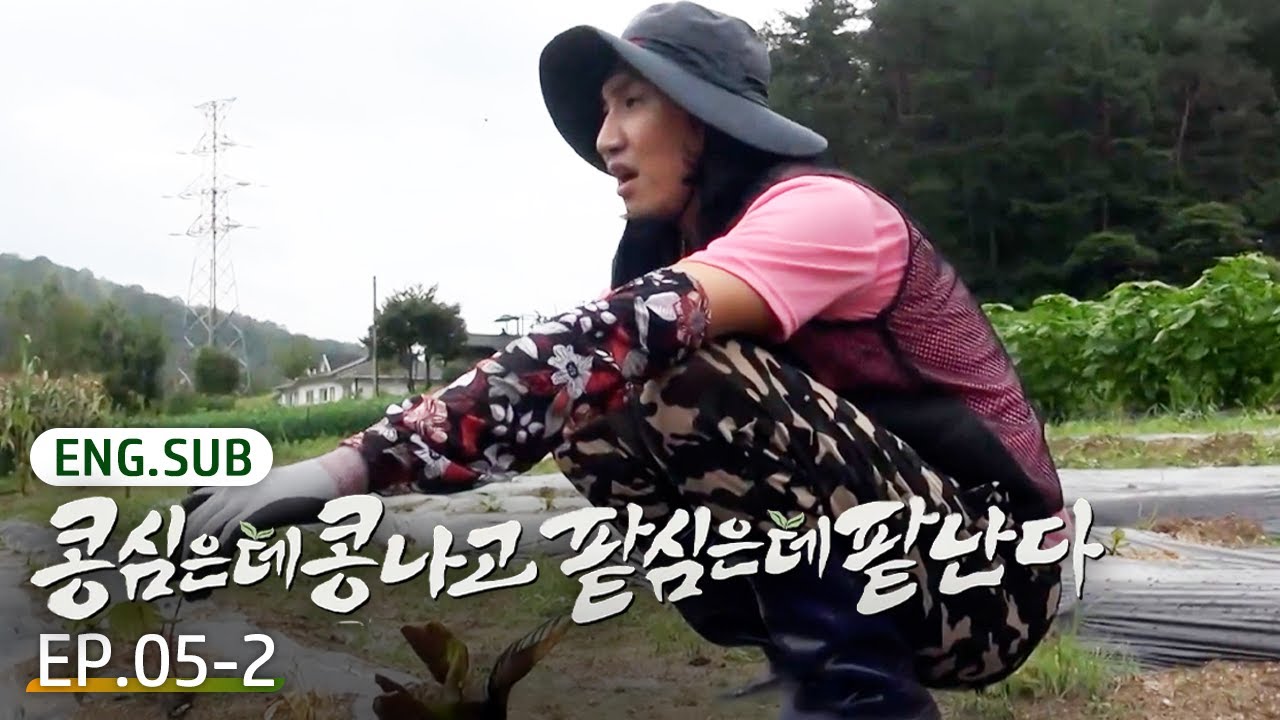 [K-Content] What happened to Kwangsoo&rsquo;s rare plant?😱 | GreenBeanRedBean EP.5-2 #Engsub
