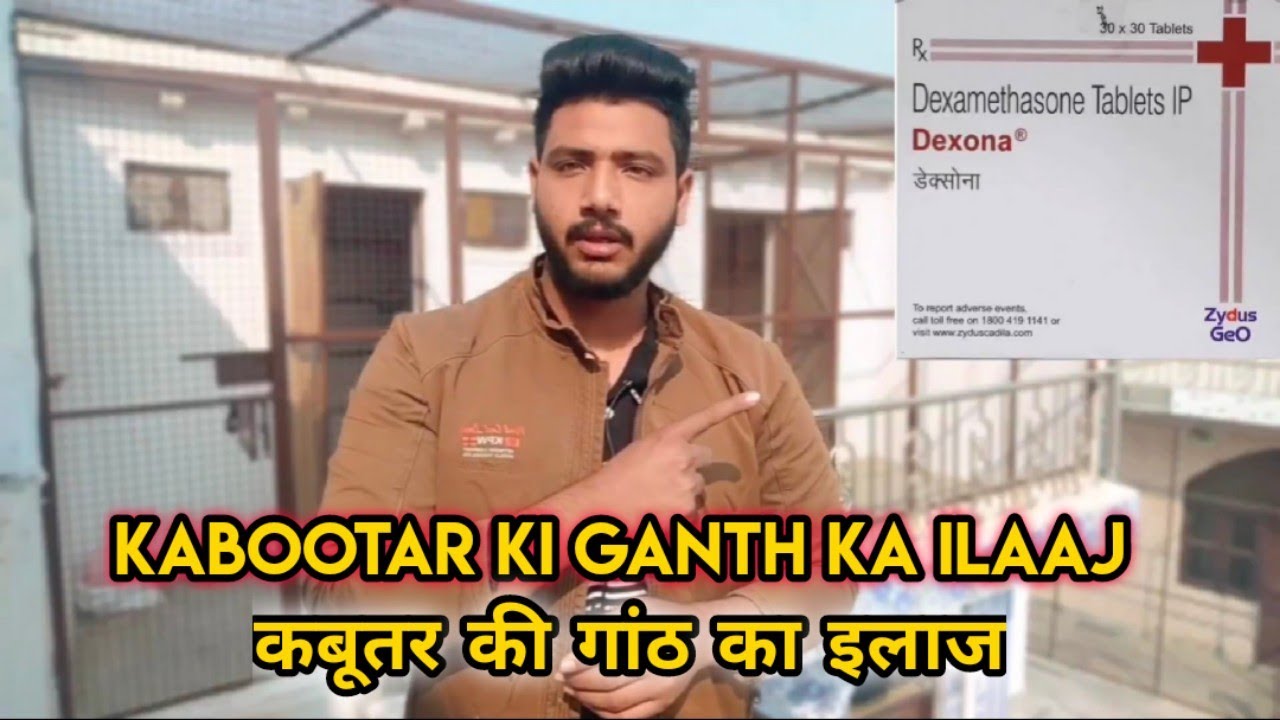 KABOOTAR KI RASAULI GANTH KA 100% ILAAJ ( KABOOTARBAZI )