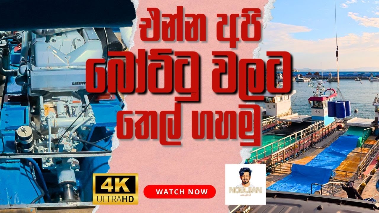 එන්න අපි බෝට්ටු වලට තෙල් ගහමු , Vlog EP 3