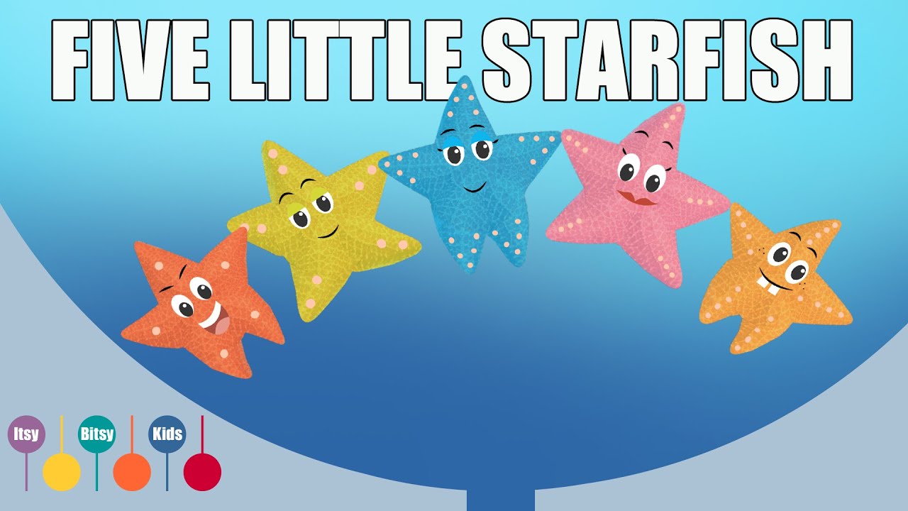 Five Litte Starfish | Counting Rhyme | ItsyBitsyKids