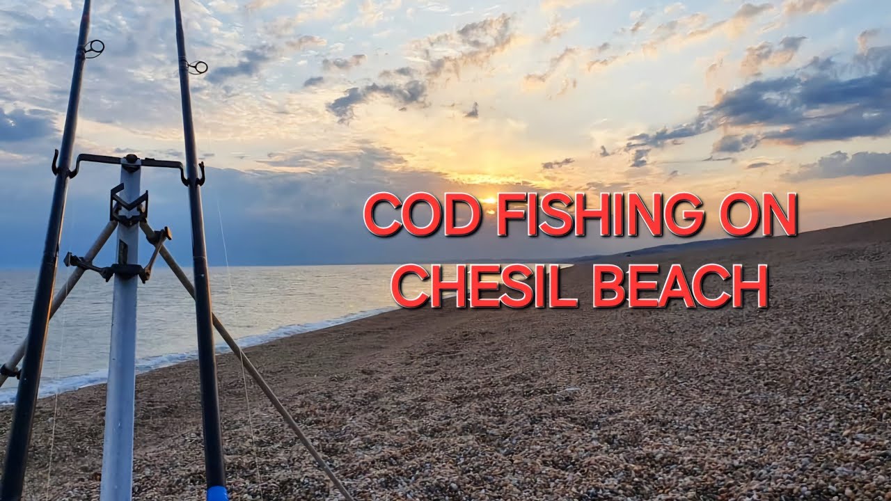 Cod fishing on Chesil Beach. #fishing #beachfishing #shorefishing