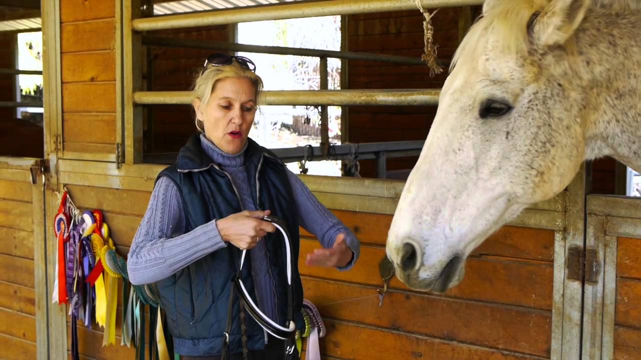 THE SUMMERWOOD SERIES - An Introduction to Bitless Bridles