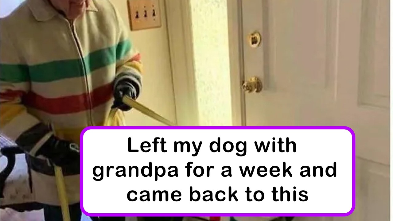 Heartwarming Posts That Remind Us of the Good Things in Life