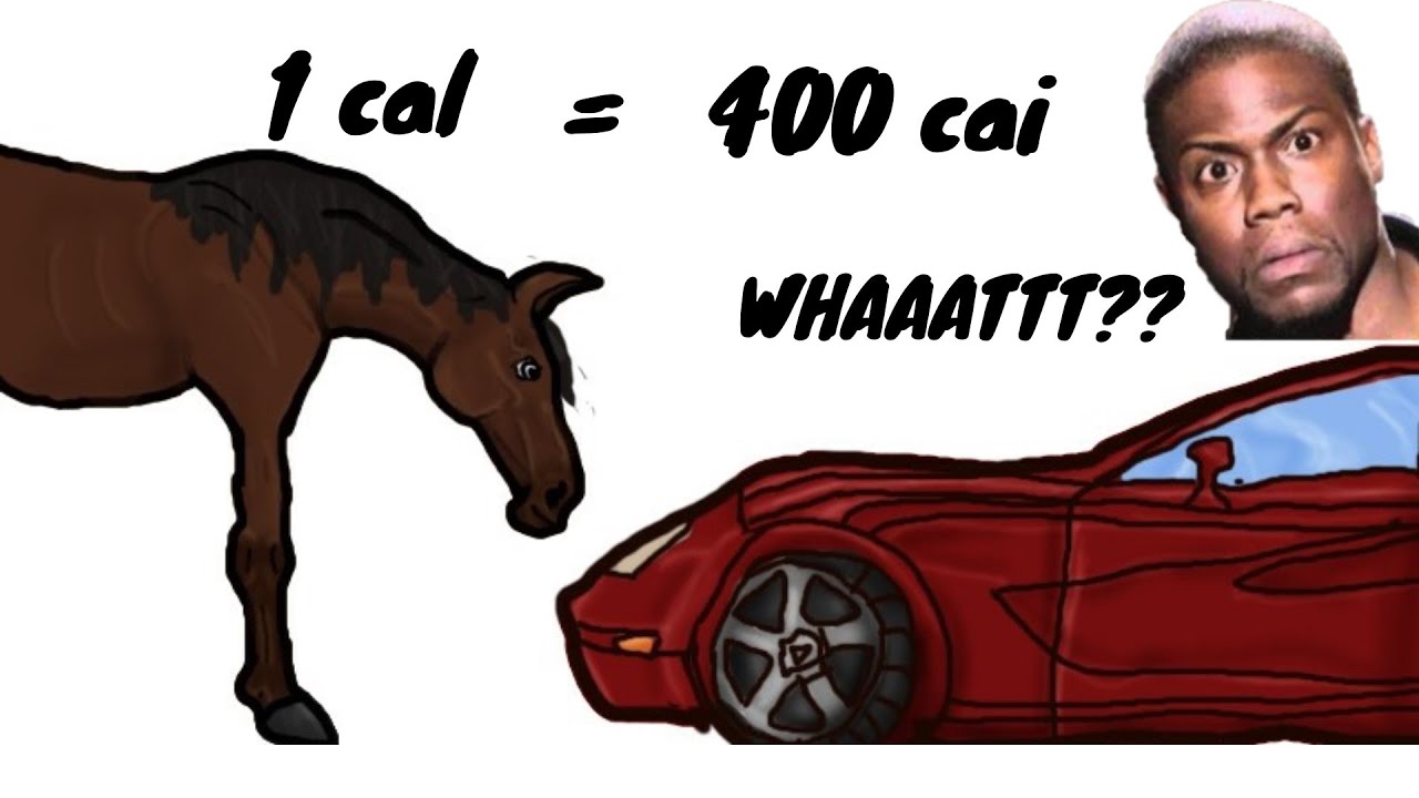 Puterea reala de un cal la un motor este egala cu puterea unul cal adevarat ?