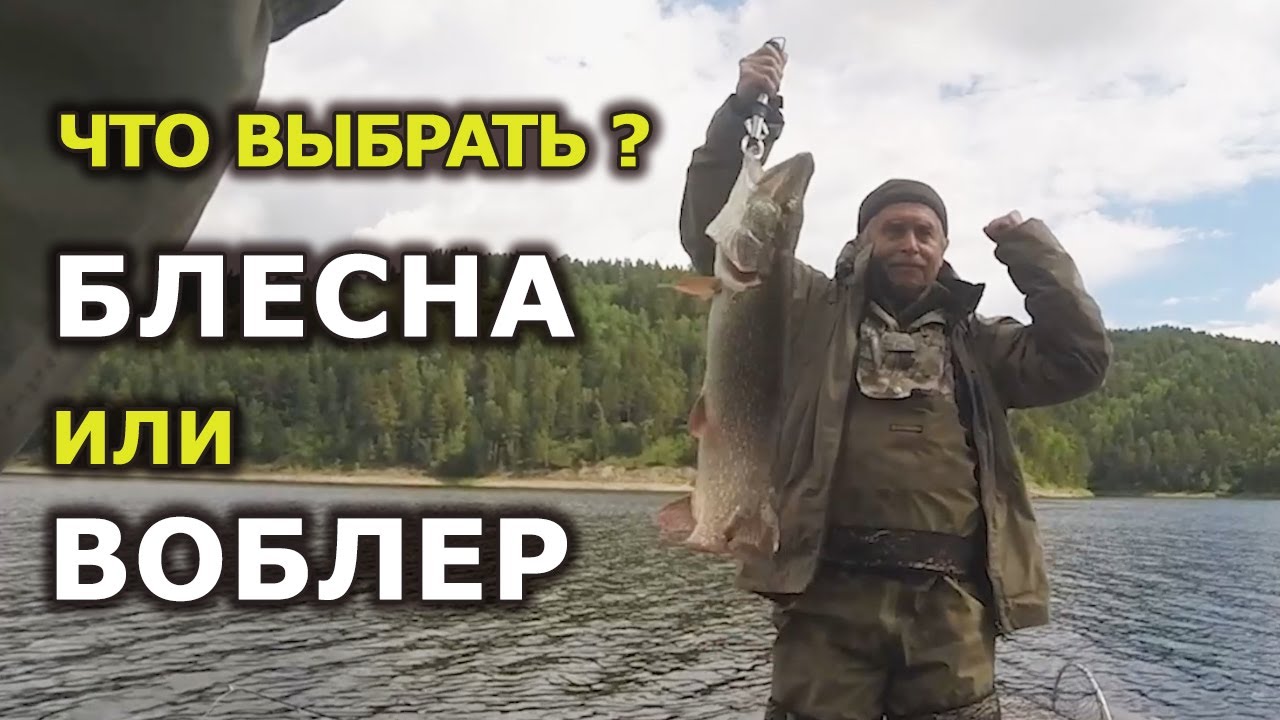Поговорим о рыбалке: в каких случаях блесна ловит лучше, чем воблер