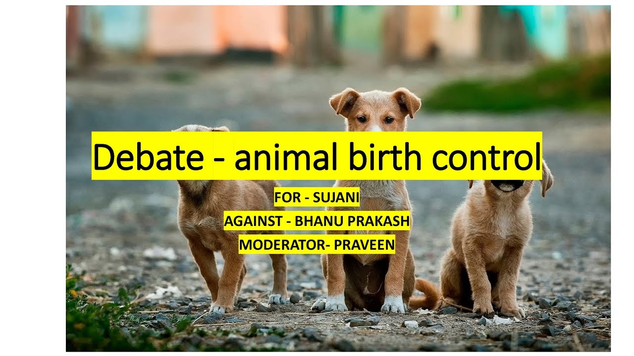 ABC (Animal Birth Control) street dogs- DEBATE, FT BHANUPRAKASH,SUJANI,PRAVEEN #freethinkingmaverick