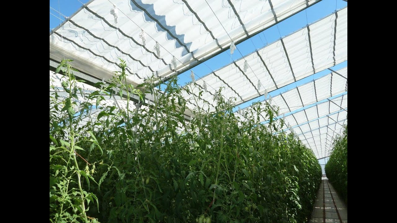 The difference between a retractable cooling house and a conventional greenhouse