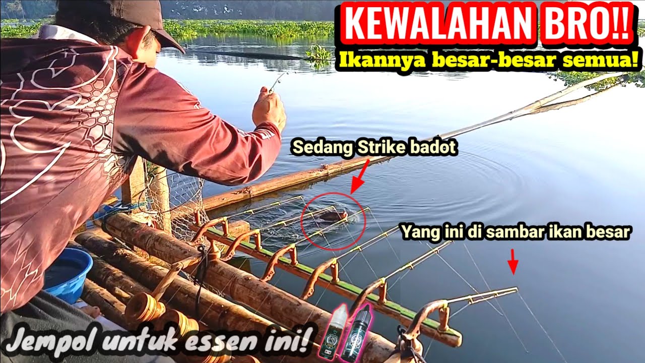 Ikan nila besar-besar kumpul di lapak ini! | TES ESSEN SOAX DI SPOT DALAM || RAKIT OMEN Waduk Cirata
