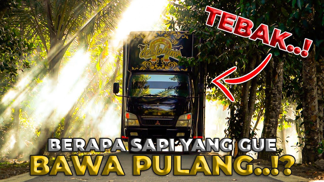 SAMPE DETIK TERAKHIR MAU PULANG, GUE MASIH BINGUNG MAU BAWA SAPI APA AJA..!